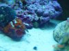 DSC00210.jpg