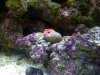 IMG-20120521-00153.jpg