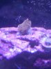 IMG_20120522_202045.jpg
