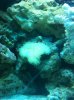 IMG_0580.jpg