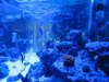 IMG_1092.JPG