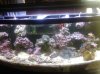 FTS.jpg