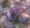 IMAG0367-1.jpg