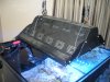 DSCN2271.jpg