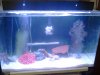 sw tank!1.jpg