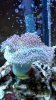 2012-02-05_22-53-50_717.jpg