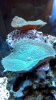 2011-12-26_17-06-37_448.jpg