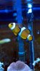 2011-12-24_15-16-46_864.jpg