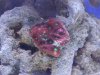 20120617_160024.jpg