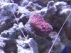 20120617_160052.jpg