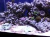 20120617_155455.jpg