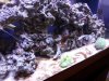 20120617_155526.jpg