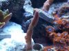 100_1458.jpg