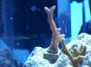 100_1537.jpg