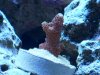 100_1444.jpg