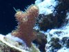 100_1523.JPG