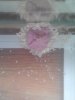 CAM00600.jpg