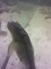 IMG_20120620_125136.jpg