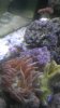 IMAG0189.jpg