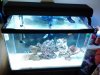 CAM00673.jpg