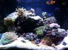 29g2.jpg