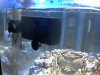 2012-06-26 12.17.58.jpg