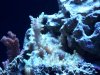 100_1451.jpg