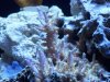 100_1516.jpg