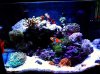 29g2.jpg