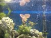 100_2411.jpg