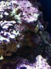 IMG_3245.jpg