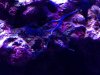 ImageUploadedByTapatalk1341205054.765610.jpg