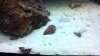 2012-07-02_18-51-18_815.jpg