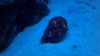2012-07-02_21-04-13_179.jpg