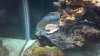 2012-07-02_18-51-24_713.jpg