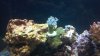 2012-07-02_18-51-28_578.jpg