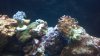 2012-07-02_18-51-33_441.jpg