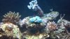 2012-07-02_18-51-51_152.jpg