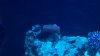 2012-07-02_21-03-58_344.jpg