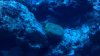 2012-07-02_21-04-04_673.jpg