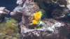 2012-07-02_18-51-38_490.jpg