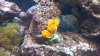 2012-07-02_18-51-59_391.jpg