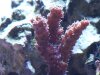 100_1456.jpg