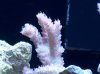 100_1590.jpg