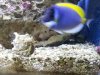 20120705_160704.jpg