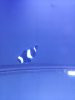 20120706_151103.jpg