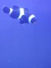 20120706_151159.jpg