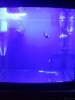 20120706_184740.jpg