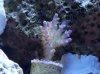 100_1540.jpg