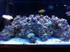 FTS1.JPG